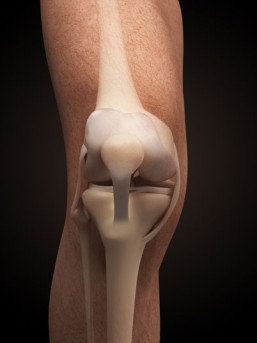 Knee Repair Surgery – Arthroscopic ACL Meniscal Repair by OrangeCountySurgeons  